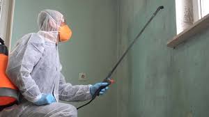 Best Emergency Mold Remediation  in Butler, AL