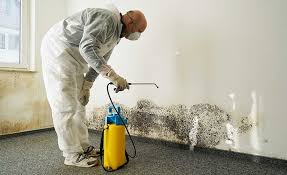 Best Mold Remediation for Healthcare Facilities  in Butler, AL